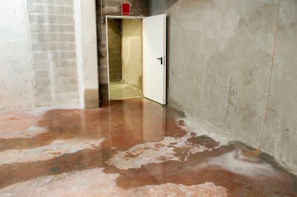 Cost of Wet Basement Repair in Pasadena